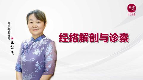 经络解剖与诊察（课堂实录） 