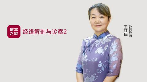经络解剖与诊察（2）（课堂实录） 