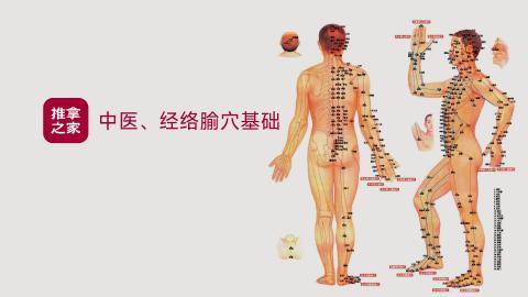 中医、经络腧穴基础 